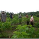 세기농장 이미지