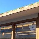 이웃집잡화점 | 울산 동구 소품샵 슬도잡화점 루루상점 지브리 디즈니 가챠볼