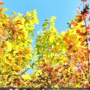 수성구민운동장 이미지