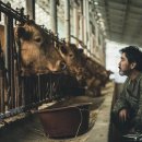 나나목장 이미지