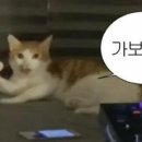 유진손칼국수 네이버블로그