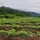 산골농부네 이미지