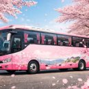 완암로-2 이미지