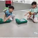 팀태권도장 이미지