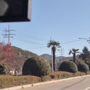 평사마을회관 | 12월의 여수 1박2일 여행 : 진남관, 이순신광장, 하멜등대, 웅천해수욕장, 여수장도근린공원, 돌산대교...