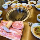 서해쭈꾸미 이미지