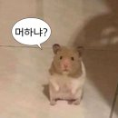 냠냠 - 은평구 녹번로 51-1 | 냠냠