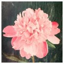 SEA & STAY 이미지