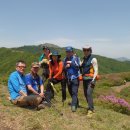 다와카페 이미지