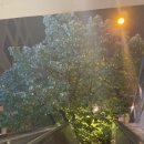 프라하1 이미지