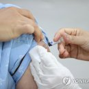신태백병원 프레시안