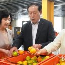 위미농업협동조합 농산물산지유통센터 이미지