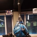 더울프복싱짐 이미지