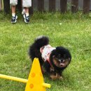 CU강릉아산드림점 이미지