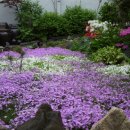 초정민박 이미지