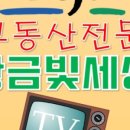 황금빛부동산중개사무소 이미지