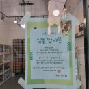 앙글몽글 이미지