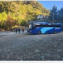 계곡과소나무