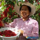 화수리농장 이미지