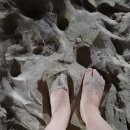 걷기지도사(주간) 이미지