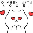 요리미치상