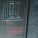 짝퉁머리