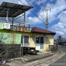 평대농장 | 제주 2일차 / 평대성게국수,평대스낵,블루보틀,와흘메밀마을,보메와산 귤체험,제주동화마을,제주동문시장