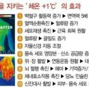 방영학생활건강