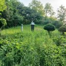 남가네 농장 이미지