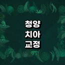 청양군 치아교정 잘하는 전문치과 병원 추천 | 비용 후기 설측교정 돌출입 앞니 투명 무턱 부분 교정기...