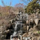 화담다인 이미지