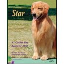 쿨스타스 이미지