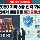 (주)엘지생활건강_구강용품 제조공정 | 🚨 [긴급] “국민치약의 배신” 2080 치약 6종 전격 회수 - 중국산에서 발암물질 트리클로산 검출