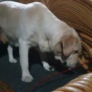 메이동동 이미지