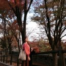 중부-충무-중부-405 | [서울남산타워 데이트] 대중교통으로 남산타워 가는법☆/순환버스/볼거리/맛집