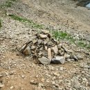 반딧불이 캠프 이미지