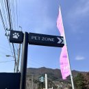 스타펫 | 남양주 대형카페 더북한강R점 스타벅스 애견동반 강아지 펫존&amp;펫스타 후기