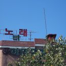 로또노래빠 - 홍천군 번영로 72 | 수원 행궁동이 좋은 일상_메이쓰, 누크녹카라멜하우스, 소품샵, 독립서점
