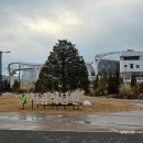 서울마곡유치원 | 마곡 데이트 서울식물원 아기랑 크리스마스 시즌 후기(입장료,주차꿀팁)