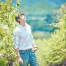 닉쿤 카카오 검색결과