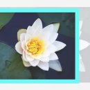 우사단로 공방길 이미지