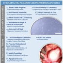 대조-002 이미지