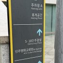 광주 역사 여행 소년의 길을 따라 걸어본 어느 날 ｜2025 오월미술제 생물민주주의 은암미술관 ｜광주...
