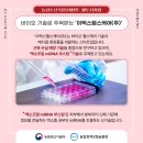 피투케어 이미지