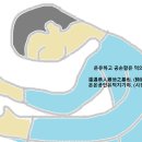 온온 공