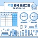 큐브애견미용학원