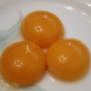 비타민 숲 이미지