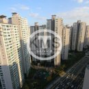 신천공인중개사사무소 이미지