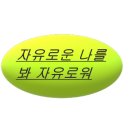 실로암안경점 이미지