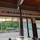 제주돈 연탄집(일영점)